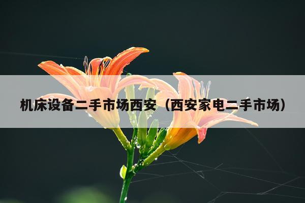 机床设备二手市场西安（西安家电二手市场）