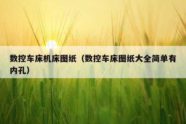 数控车床机床图纸(数控车床图纸大全简单有内孔)