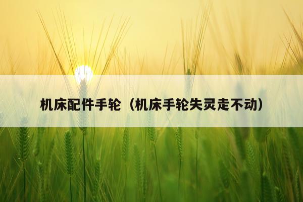 机床配件手轮(机床手轮失灵走不动)