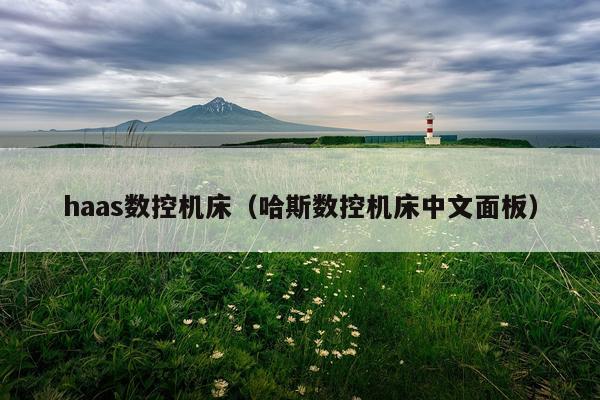 haas数控机床（哈斯数控机床中文面板）