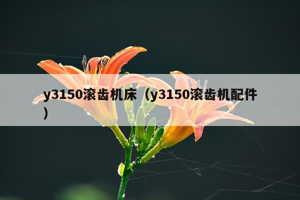 y3150滚齿机床(y3150滚齿机配件)