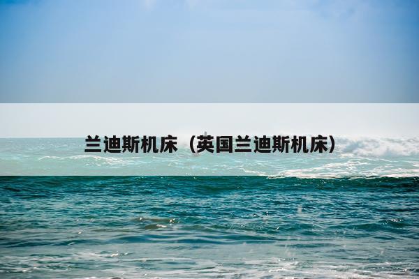兰迪斯机床(英国兰迪斯机床)