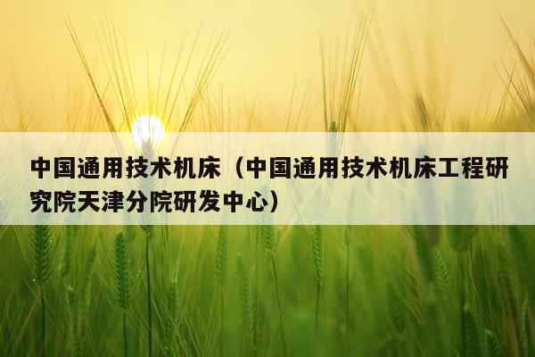中国通用技术机床(中国通用技术机床工程研究院天津分院研发中心)