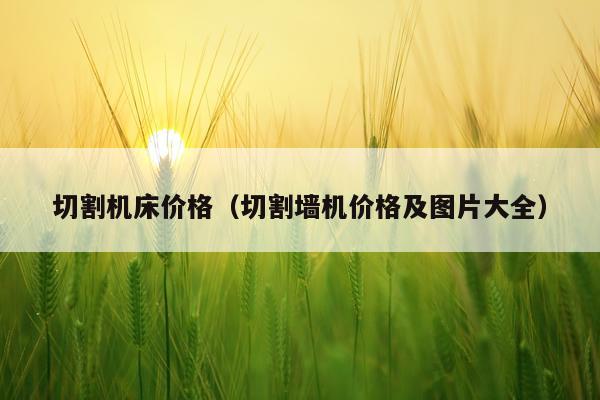 切割机床价格（切割墙机价格及图片大全）