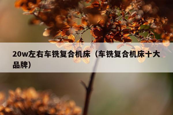 20w左右车铣复合机床（车铣复合机床十大品牌）