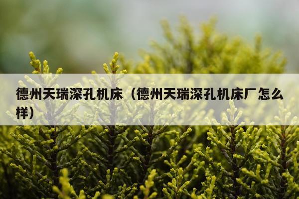 德州天瑞深孔机床（德州天瑞深孔机床厂怎么样）