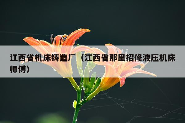 江西省机床铸造厂（江西省那里招修液压机床师傅）