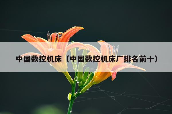 中国数控机床（中国数控机床厂排名前十）