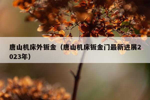 唐山机床外钣金（唐山机床钣金门最新进展2023年）