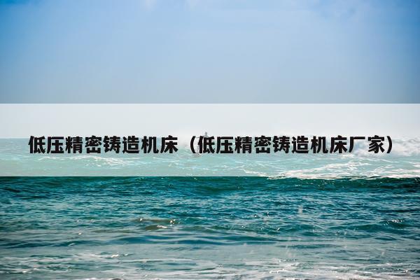 低压精密铸造机床（低压精密铸造机床厂家）