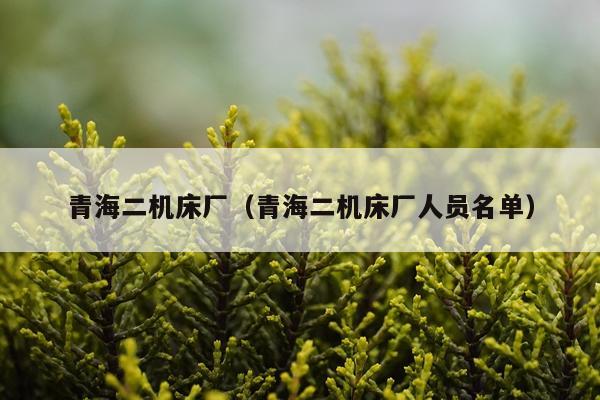 青海二机床厂（青海二机床厂人员名单）