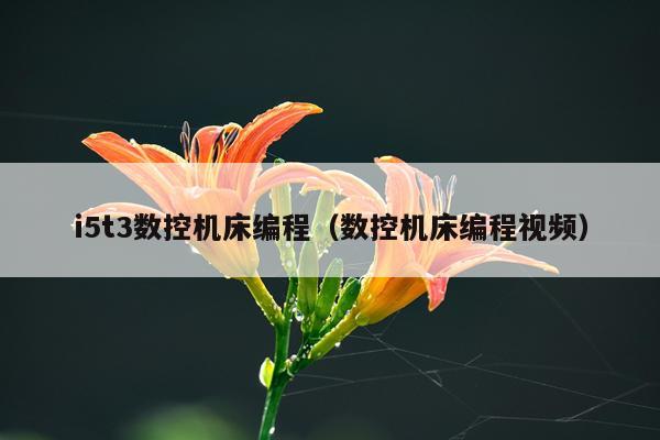 i5t3数控机床编程（数控机床编程视频）
