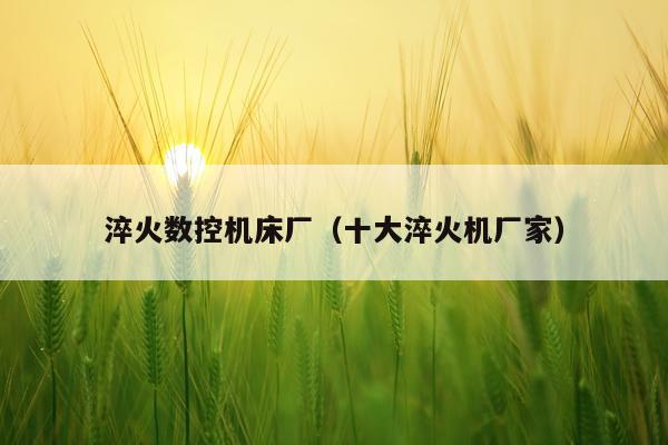 淬火数控机床厂（十大淬火机厂家）