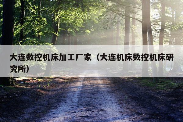 大连数控机床加工厂家（大连机床数控机床研究所）