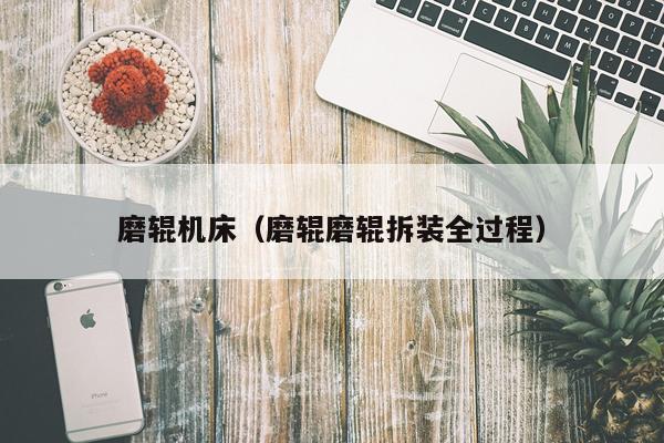 磨辊机床（磨辊磨辊拆装全过程）