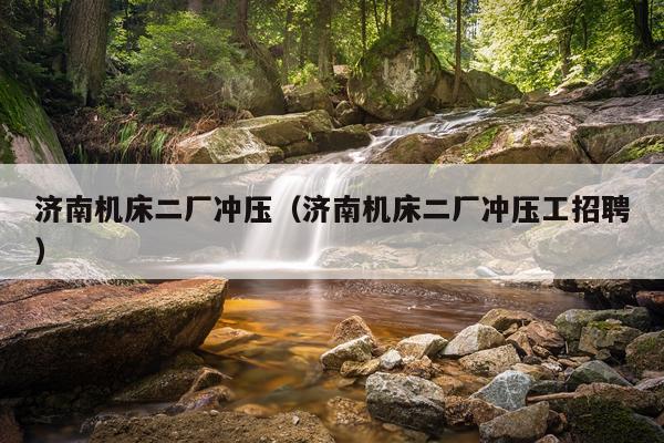 济南机床二厂冲压（济南机床二厂冲压工招聘）