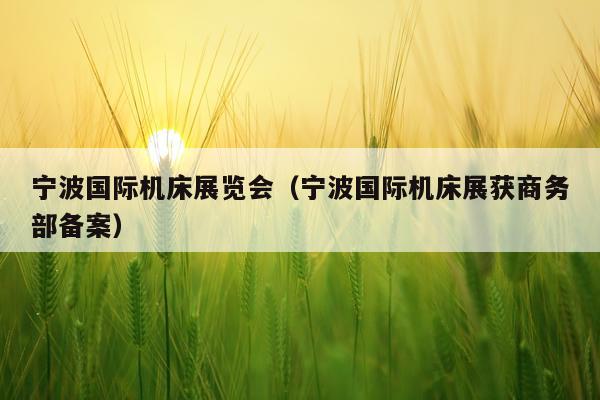 宁波国际机床展览会(宁波国际机床展获商务部备案)