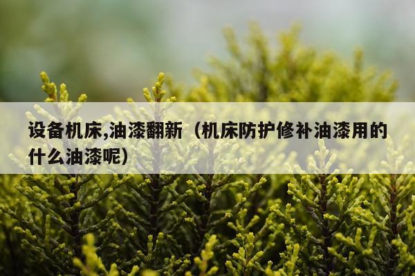 设备机床,油漆翻新(机床防护修补油漆用的什么油漆呢)