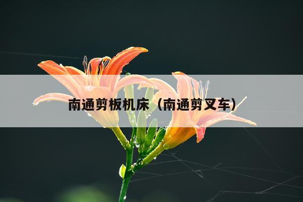 南通剪板机床（南通剪叉车）