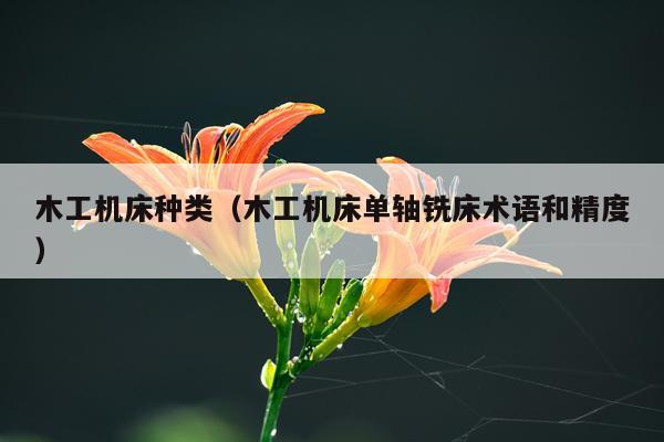 木工机床种类(木工机床单轴铣床术语和精度)