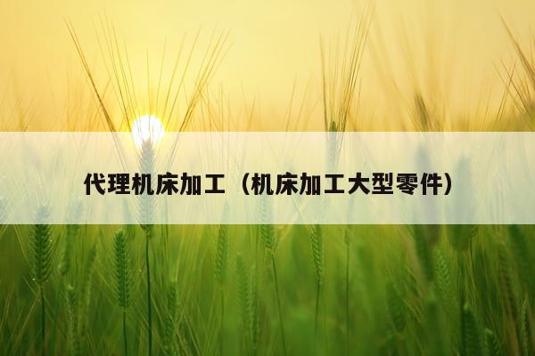 代理机床加工(机床加工大型零件)