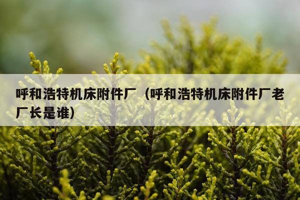 呼和浩特机床附件厂(呼和浩特机床附件厂老厂长是谁)