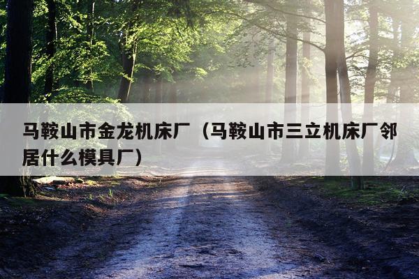 马鞍山市金龙机床厂(马鞍山市三立机床厂邻居什么模具厂)