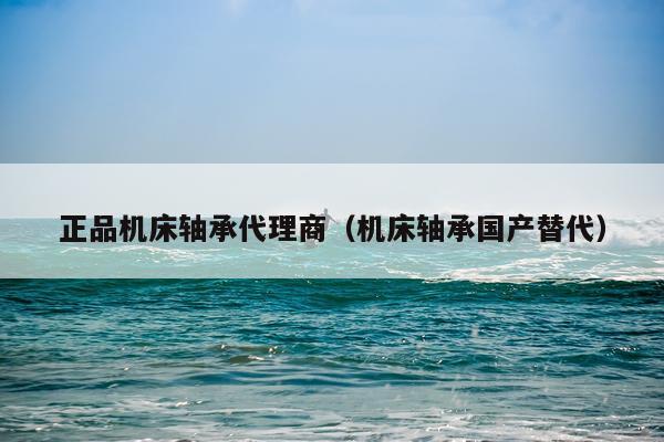 正品机床轴承代理商(机床轴承国产替代)