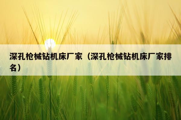 深孔枪械钻机床厂家(深孔枪械钻机床厂家排名)