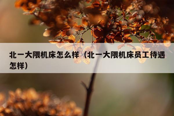 北一大隈机床怎么样（北一大隈机床员工待遇怎样）