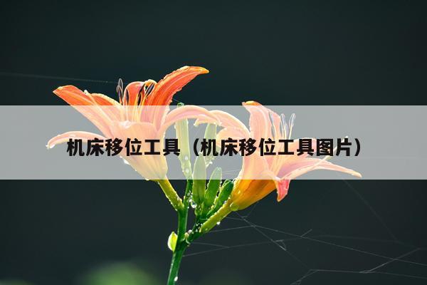 机床移位工具（机床移位工具图片）
