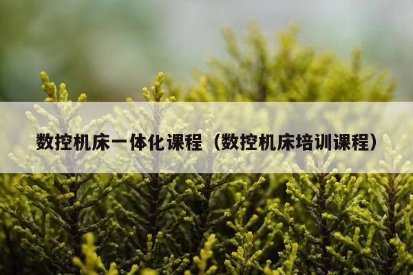 数控机床一体化课程(数控机床培训课程)
