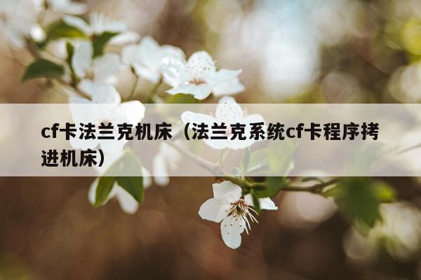 cf卡法兰克机床(法兰克系统cf卡程序拷进机床)