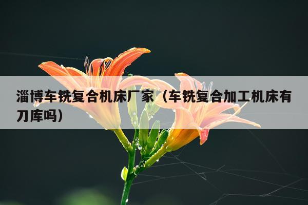 淄博车铣复合机床厂家(车铣复合加工机床有刀库吗)