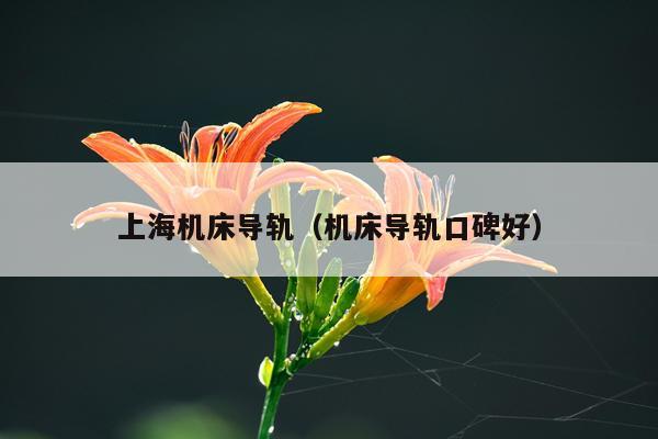 上海机床导轨(机床导轨口碑好)