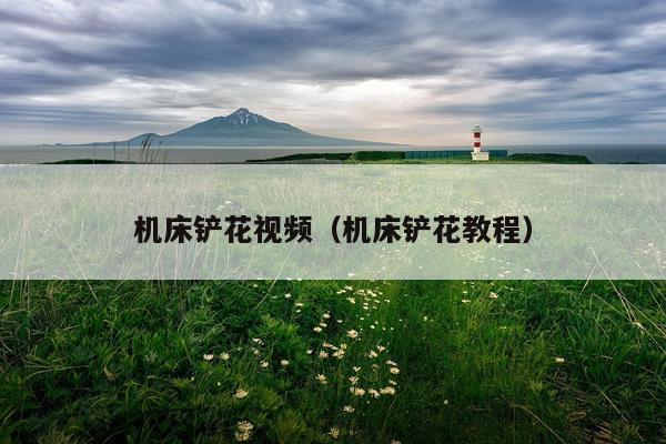 机床铲花视频(机床铲花教程)