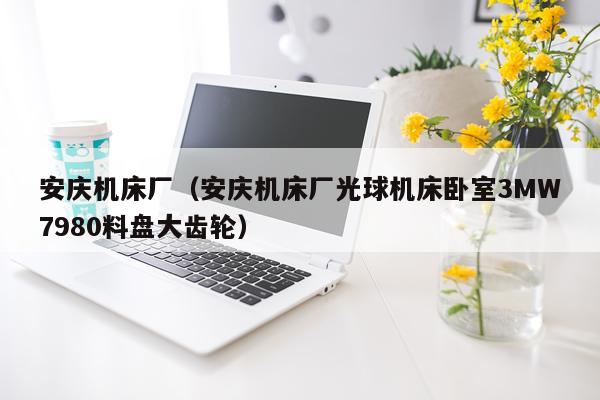安庆机床厂(安庆机床厂光球机床卧室3MW7980料盘大齿轮)