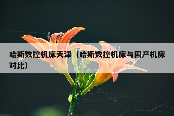 哈斯数控机床天津(哈斯数控机床与国产机床对比)