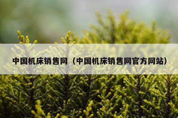 中国机床销售网（中国机床销售网官方网站）