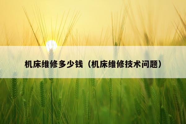 机床维修多少钱（机床维修技术问题）