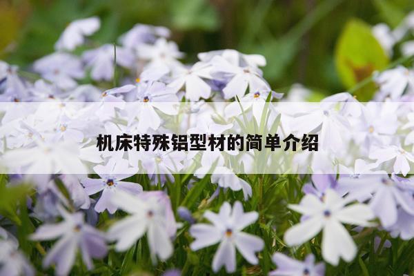 机床特殊铝型材的简单介绍