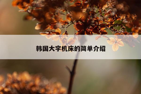 韩国大宇机床的简单介绍