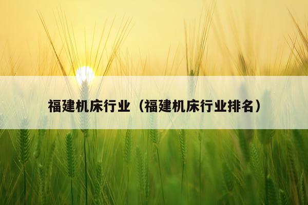 福建机床行业（福建机床行业排名）