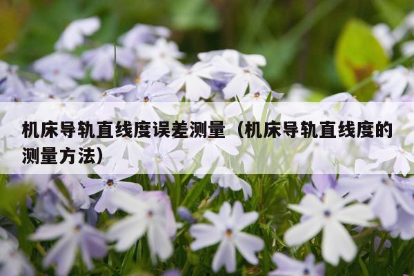机床导轨直线度误差测量（机床导轨直线度的测量方法）