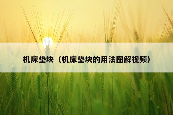 机床垫块（机床垫块的用法图解视频）