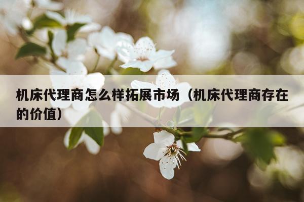机床代理商怎么样拓展市场（机床代理商存在的价值）