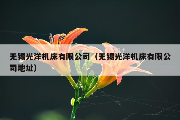 无锡光洋机床有限公司（无锡光洋机床有限公司地址）