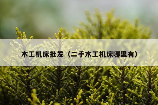 木工机床批发（二手木工机床哪里有）