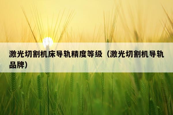 激光切割机床导轨精度等级（激光切割机导轨品牌）