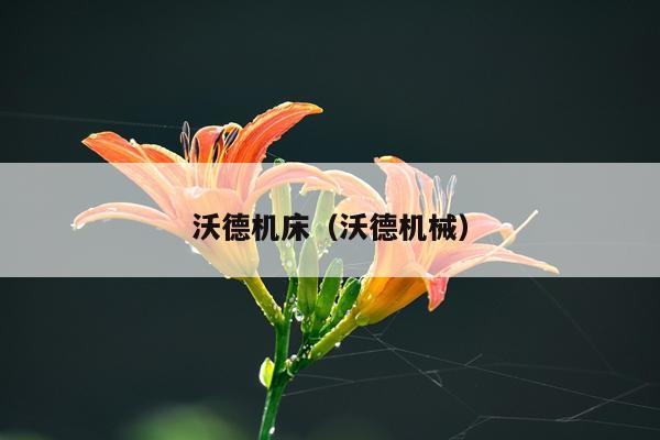 沃德机床（沃德机械）